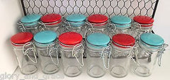 Glory & Grace Wall or Counter Kitchen Wire Spice Rack w 12 Aqua and Red Jars