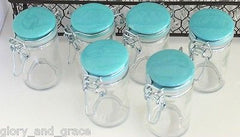 Glory & Grace Wall or Counter Kitchen Wire Spice Rack w 12 Aqua and Red Jars