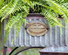Galvanized & Iron French Planter Tubs