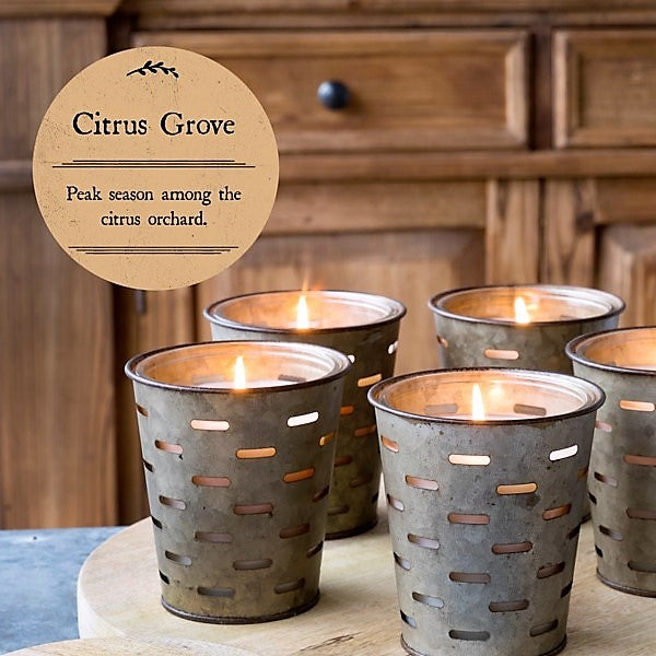 Olive Bucket Candle, CITRUS GROVE Fragrance