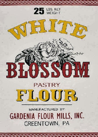 White Blossom Flour Feedsack 100% Cotton Kitchen Tea Towels, Set of Two
